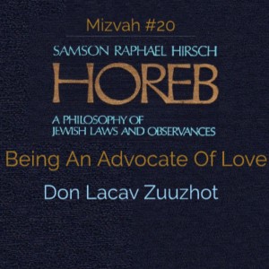 Mitzvah #20 - Being An Advocate Of Love (Don Lacav Zuuzhot)