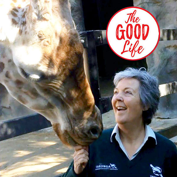 107. Erna Walraven on what wild animals teach us about leadership