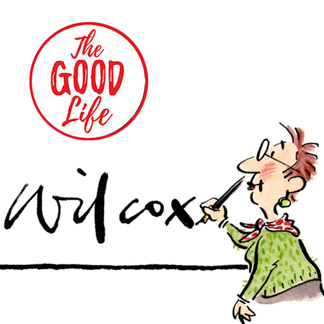 159. Cathy Wilcox on cartoons, chance & change