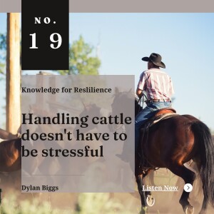 Handling cattle doesn’t have to be stressful - Ep19 - Dylan Biggs