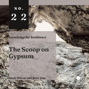The Scoop on Gypsum - Ep22 - Mark Wilson and Brett Jans