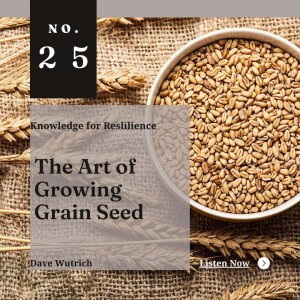 The Art of Growing Grain Seeds - Ep25 - Dave Wuthrich