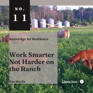 Working Smarter Not Harder on the Ranch - Ep11 - Dan Martin