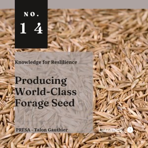 Producing World-Class Forage Seed - Ep14 - Talon Gauthier