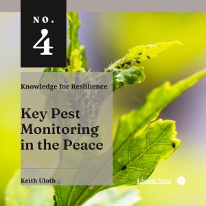 Key Pest Monitoring in the Peace - Ep04 - Keith Uloth