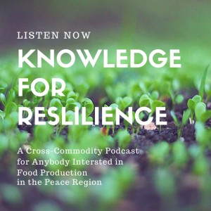 Knowledge for Resilience Teaser