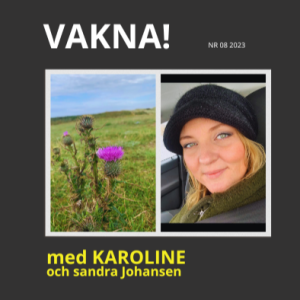36. Sandra Johansen - Utesluten efter våldtäkt