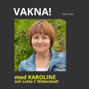 38. Lotta C Widerstedt - Bakom den fina fasaden ven mattpiskan