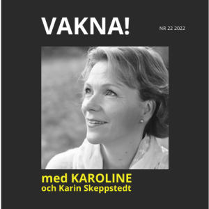 22. FÖRBJUDET - Medialitet med Karin Skeppstedt