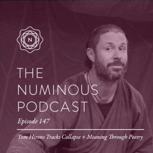 TNP147 Tom Hirons Tracks Collapse + Meaning Through Poetry