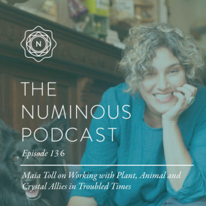 TNP136: Maia Toll on Working with Plant, Animal and Crystal Allies in Troubled Times