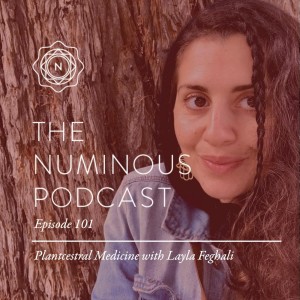 TNP101 Layla Kristy Feghali on Plantcestral Medicine