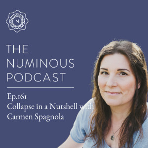 TNP161: Collapse in a Nutshell with Carmen Spagnola