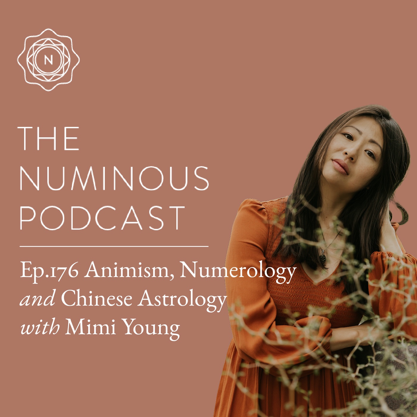 The Numinous Podcast