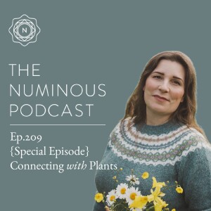 TNP209 {Special Class Recording} Connecting with Plants