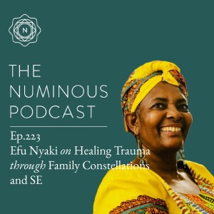 TNP223 Efu Nyaki on Healing Trauma through Family Constellations and SE