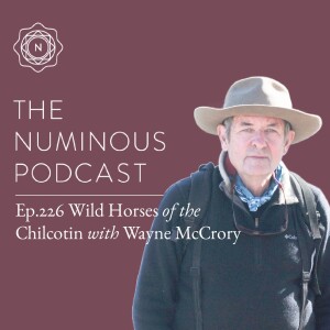 TNP226 Wild Horses of the Chilcotin with Wayne McCrory
