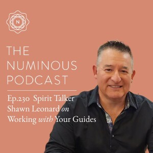 TNP230 Spirit Talker Shawn Leonard on Working with Your Guides