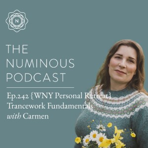 TNP242 {WNY Retreat Miniseries} Trancework Fundamentals with Carmen Spagnola