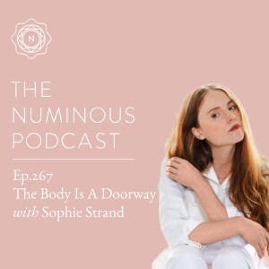 TNP267 The Body Is A Doorway with Sophie Strand