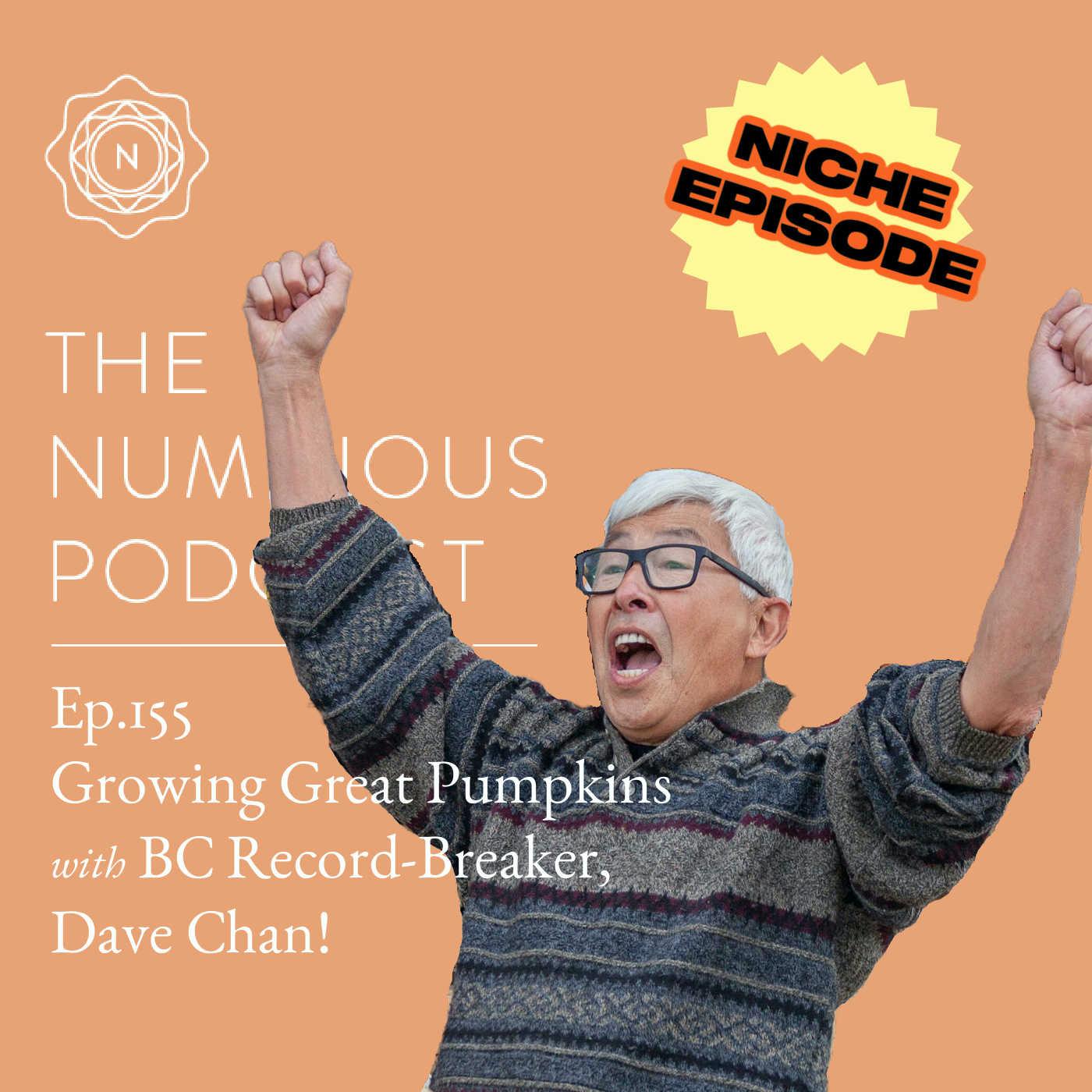 The Numinous Podcast
