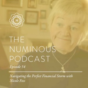 TNP54: Nicole Foss on Navigating the Perfect Financial Storm