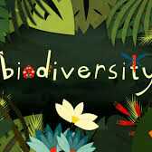 Biodiversity by Atif