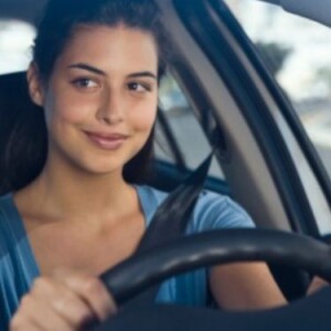 How Can a Driving School Help You To Save Fuel?