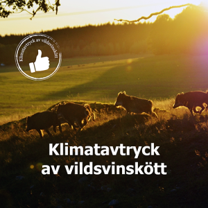 Klimatavtryck av vildsvinskött