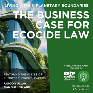 Living Within Planetary Boundaries: The Business Case for Ecocide Law