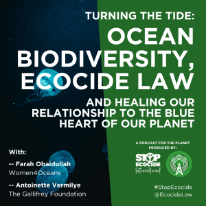 Turning the Tide: Ocean Biodiversity, Ecocide Law and Healing Our Relationship to the Blue Heart of Our Planet