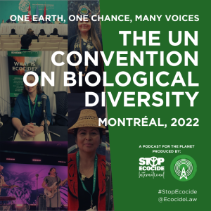 One Earth, One Chance, Many Voices: The UN Convention on Biological Diversity
