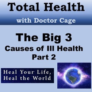 The Big Three Causes of Ill Health, Part 2: The Poison Age