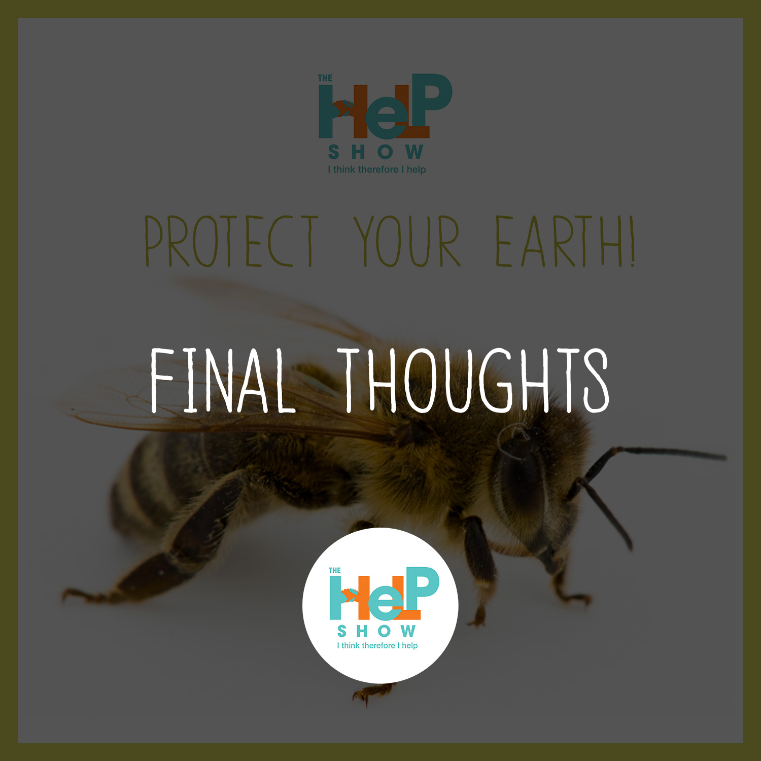 Protect Your Earth! ( Episode 8: Final Thoughts)