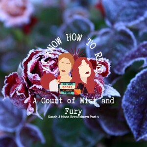 We Know How to Read : S8E18 : A Court of Mist and Fury Part 1