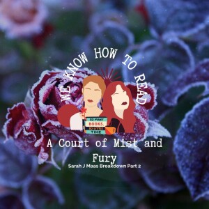 We Know How to Read : S8E19 : A Court of Mist and Fury Part2