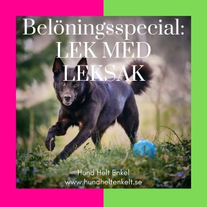 Belöningsspecial: Lek med leksak