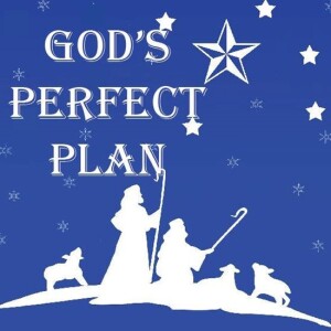 God's Perfect Plan | Ashlyn Landen, student at Newberry College