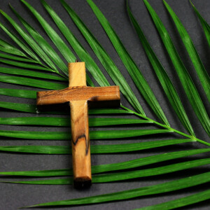 Palm Sunday | The Rev. Dr. Gerald Seals, Associate Professor of Business Administration