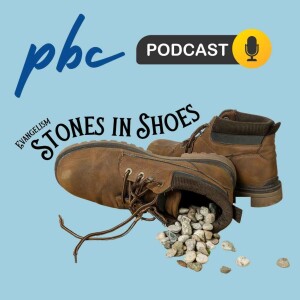 Stones in Shoes | Evangelising | Gavin Owen