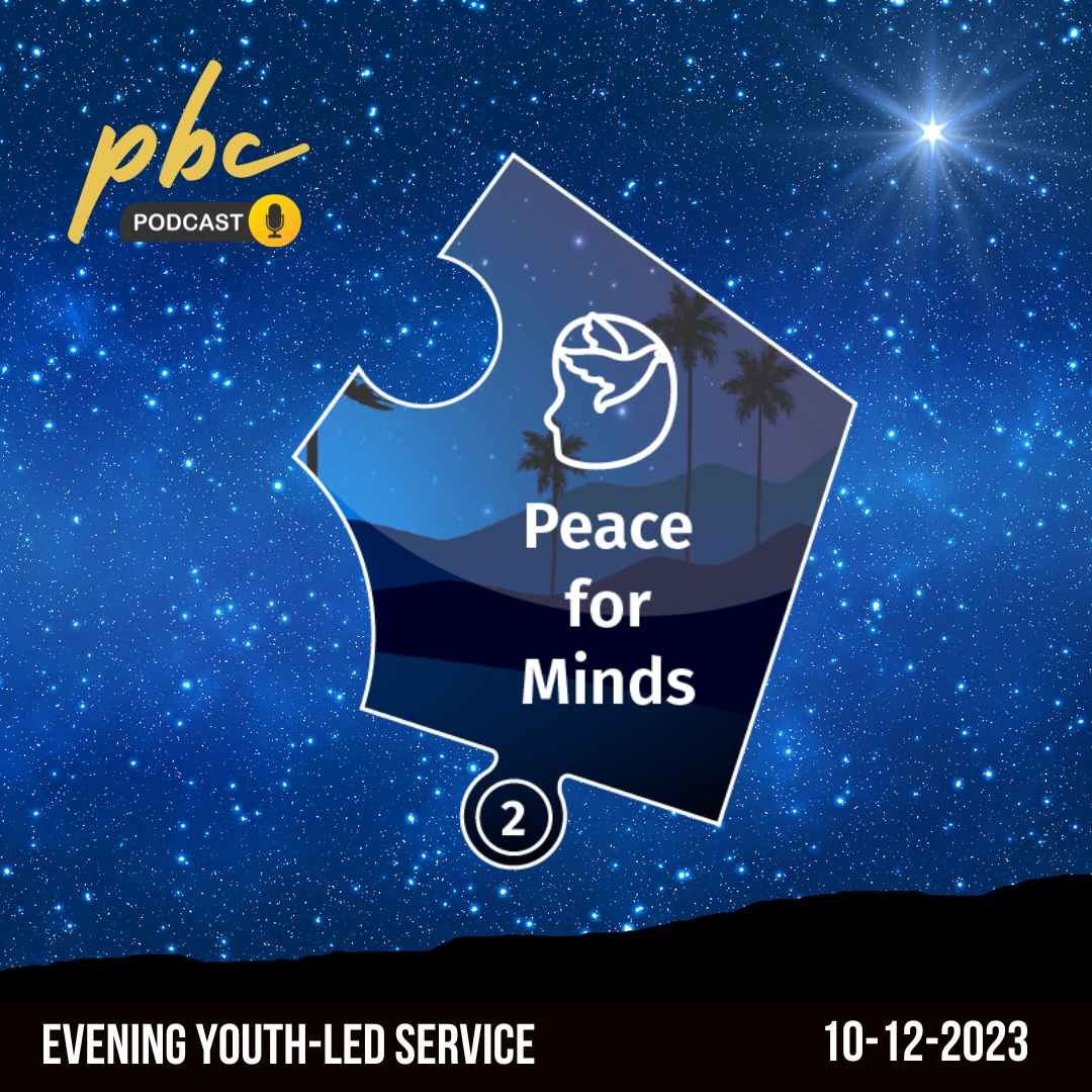 The Missing Peace | Peace For Minds | Youth-Led Service