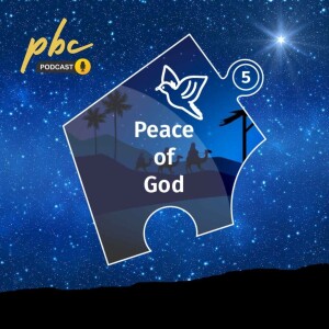 The Missing Peace | Peace of God