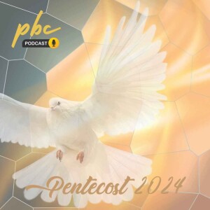 Pentecost 2024