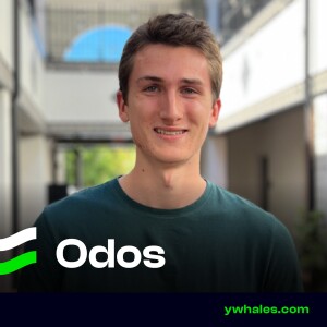 Inside Odos: The Complex DEX Aggregator Optimizing Crypto Trades and Costs