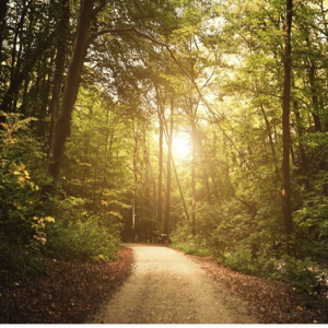 Ep. 1392: John 14-6 How Is Jesus 'the way'?