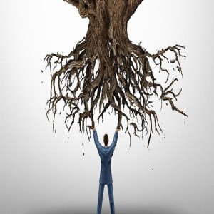 Ep. 1094: How Do You Handle Being Uprooted in Your Life?