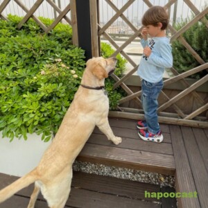 Episode 16- Dog and Kids relationship, روابط بچه ها و سگ