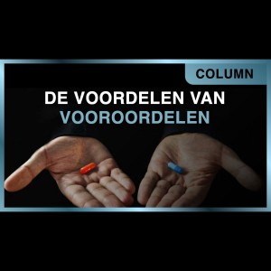 De voordelen van vooroordelen - Frank Karsten