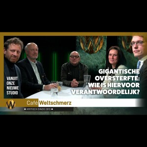 Gigantische oversterfte: Wie is verantwoordelijk?