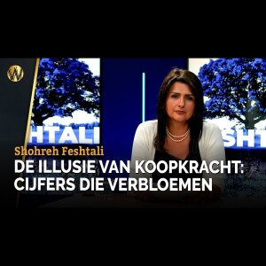 DE ILLUSIE VAN KOOPKRACHT: CIJFERS DIE VERBLOEMEN | Shohreh Feshtali